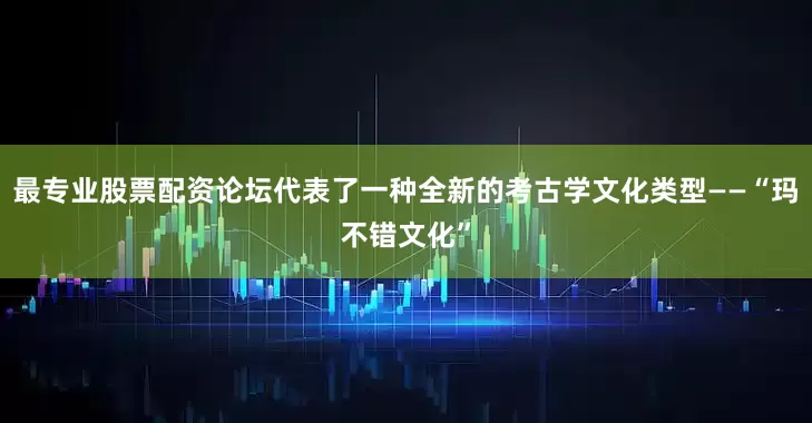 最专业股票配资论坛代表了一种全新的考古学文化类型——“玛不错文化”