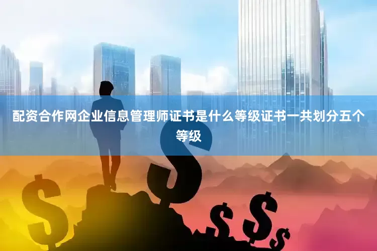 配资合作网企业信息管理师证书是什么等级证书一共划分五个等级