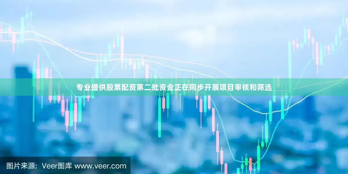 专业提供股票配资第二批资金正在同步开展项目审核和筛选