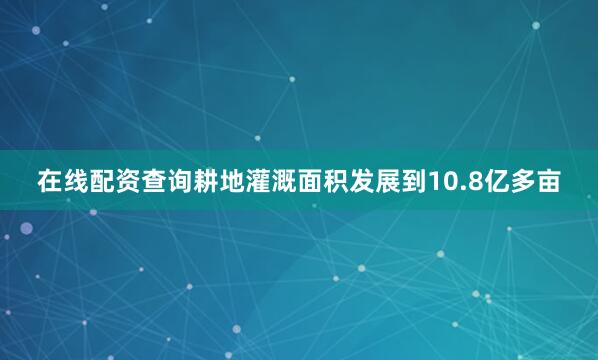 在线配资查询耕地灌溉面积发展到10.8亿多亩