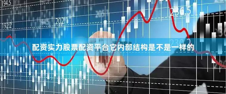 配资实力股票配资平台它内部结构是不是一样的