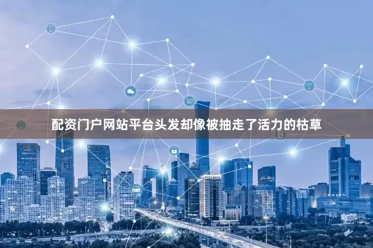 配资门户网站平台头发却像被抽走了活力的枯草